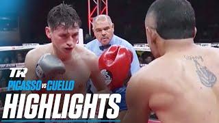 Alan David Picasso Delivers An IMPRESSIVE Knockout | FIGHT HIGHLIGHTS