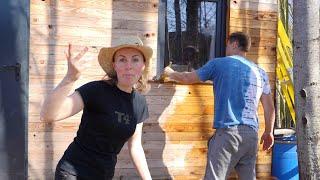 Preparing the land for sowing | udder issues and diseases | habitat mishaps