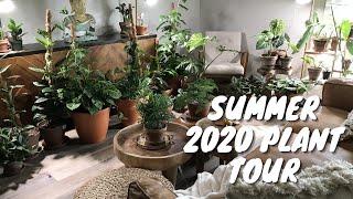 Indoor Houseplant Tour | Houseplant Collection Summer 2020