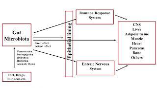 "Gut Microbiota:Structure,Functions and Clinical Implications "Dr  A K  DUTTA CMC#lecture