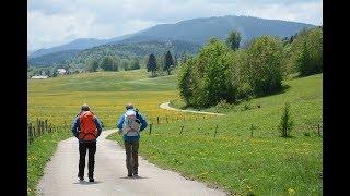 VIA FRANCIGENA 6: LANGRES - SWISS BORDER