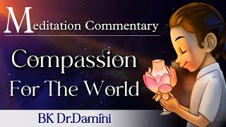 Compassion For the World || Meditation commentary || BK Dr.Damini