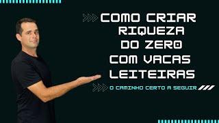 Como começar na pecuária leiteira do zero da maneira correta.