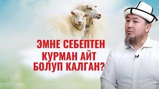 ЭМНЕ СЕБЕПТЕН КУРМАН АЙТ БОЛУП КАЛГАН?