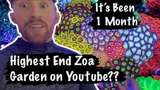 Is this the HIGHEST END ZOA GARDEN You’ve Ever Seen??  ONE MONTH OF INCREDIBLE GROWTH!!