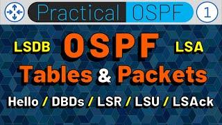 OSPF Framework & OSPF Packets:  LSDB, LSA, Hello, DBD, LSR, LSU, LSAck