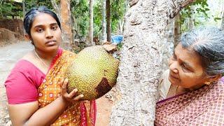 ചക്ക കട്ടത് പിടികൂടി..അയലക്കാരിക്ക് 8ൻ്റെ പണിJackfruit prank