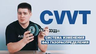 Система изменения фаз газораспределения на примере CVVT