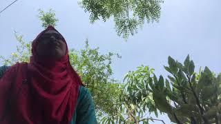 এই পদ্মা, এই মেঘনা || Short Cover || Sheikh Jarin Tasnim Oishi