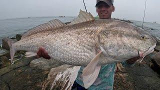 EXTREME JETTY FISHIING! waking up to non-stop BIG FISH ACTION!