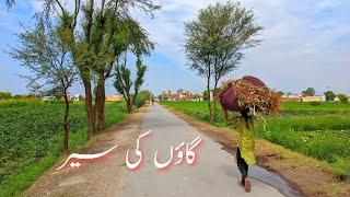 Gaon ki Sair | Heer Asad vlogs | Basti Amin Garh | Rahim yar khan