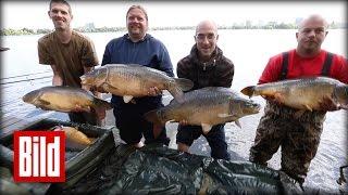 Karpfen und Zander vorm Atlantic - Angler-Glück an der Alster ( Fisch / Petri / Heil )