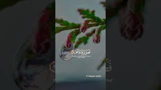 Tilwat Quran  | Islamic studio #quranrecitation #quran #fy #foryou #yt #ytshorts