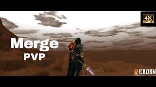 L2 Reborn pvp First week of the merge