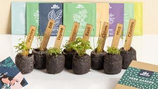 Herb Starter Kit | Basil, Cilantro, Dill, Mint, Parsley, Chives, Oregano and Thyme | by Urban Leaf