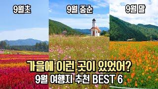 국내 여행 추천 놓치면 후회할 9월 가을 여행 명소 BEST 6