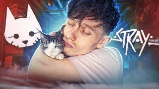 ИГРАЮ В ИГРУ ПРО КОТА