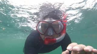 Mas yud snorkelling bontang kuala