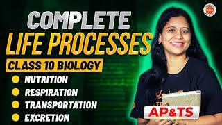 Complete LIFE PROCESSES in ONE SHOT | Class 10 Biology | AP & TS SSC 2026 | Sunaina Ma’am