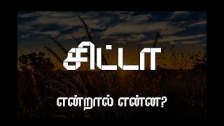 what is chitta in tamil | #chitta details explained