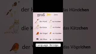 #learngerman #germany #deutschland #learning# germanlanguage#deutschonline @Language_bridge001