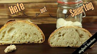 Hefeteig-Rezepte in Sauerteig-Rezepte umrechnen - so gehts!