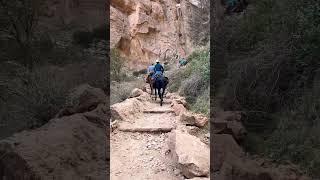 Grand Canyon. #colterwall #adventure #cowpoke #cowboy #camper #campinglife #travel #boots