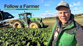 Juurikkaan nostoa ja muokkauksia - Follow a Farmer, Juha Sipilä S3:E7