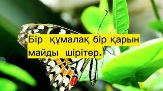 Мейірімділік,  жақсылық,  қулық,  залымдық   туралы мақал-мәтелдер..