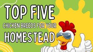 Top 5 Chicken Breeds for Your Homestead