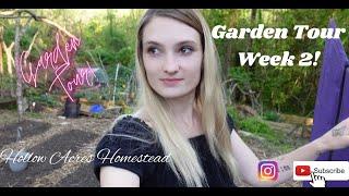 Garden Tour Week 2  | Hollow Acres Homestead | Vlog