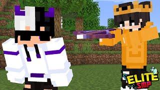 So I Joined ELITE SMP...