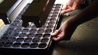 2020 Garden - Starting Seeds!