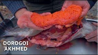 CUT UP A BIG FISH. TROUT. INSIDE 1KG OF CAVIAR