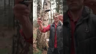 THAT'S HOW You should get the BIRCH SAP 