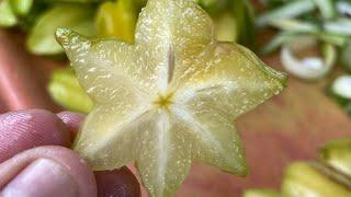 अमरक या कमरक जो भी हो खट्टा बहुत होता है | Star Fruit | Sour Fruit