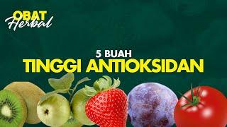 5 Buah dengan Antioksidan Tinggi | Nutrisi Herbal