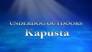 Kapusta