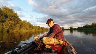 Ловля Сома на Квок по высокой воде. р. Днепр, Квочение Сома.