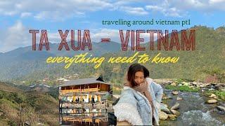 Ta Xua, brook, strawberry, and hot springs | travel vlog with muom in vietnam