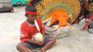 NGUPAS KELAPA BARONGAN KECIL WERDOYO