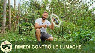 Rimedi contro le LUMACHE - Il contadino Nick