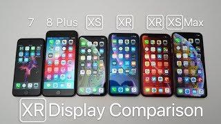 iPhone XR Display Comparison