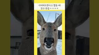 #shorts 친구가 실없는 소리 할 때 우리 반응 ㅋㅋㅋㅋㅋ #funny  #웃긴짤