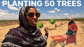 NEW FARM PROJECT | We helped plant 50 ORANGE TREES | 30mins ourside of Hargeisa SOMALILAND 2024