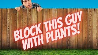 Plants For Privacy Hedge To Screen Off Neighbors!