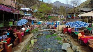 جزائري صور "أوريكا" واعطى الجزائريين بالقاسم.. وجزائري صور كورنيش الجزائر واتحسر.. الفرق كبير