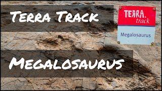 Geo-Park Terra Vita/ Terra Track  -  Megalosaurus/wandern Osnabrücker Land/Natur erleben