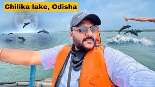 Chilika Lake tour Odisha Worth or Not ? || Asia’s Largest brackish water lagoon