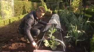 Harrod Horticultural Slot & Lock® Garden Cloche System